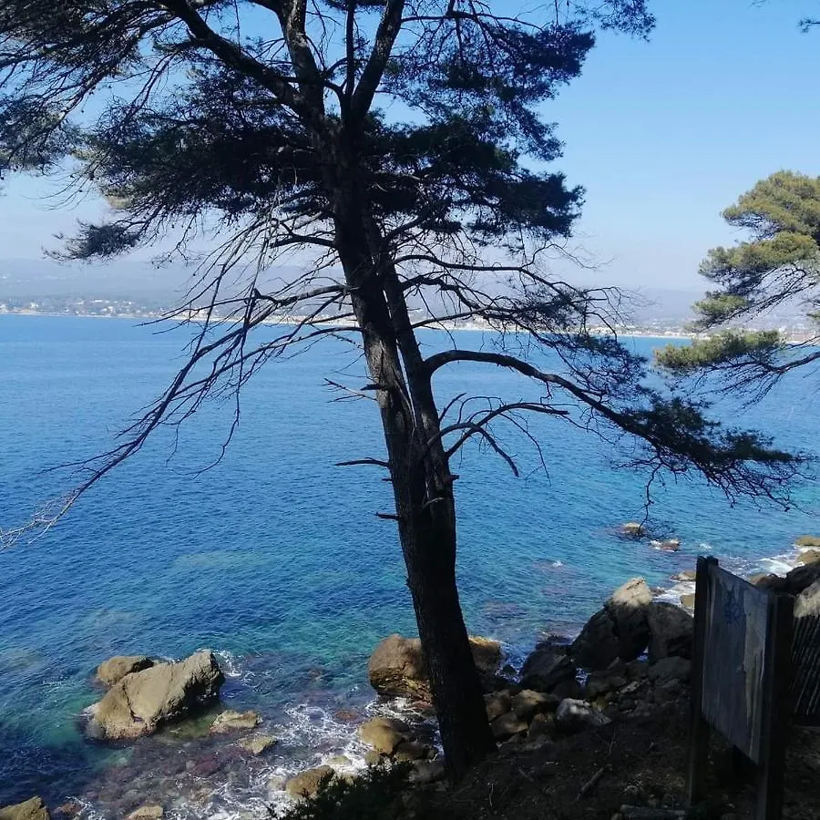 Apartment Ferienwohnung Clos Victor Spacieux 2 Pieces Toulon Frankreich